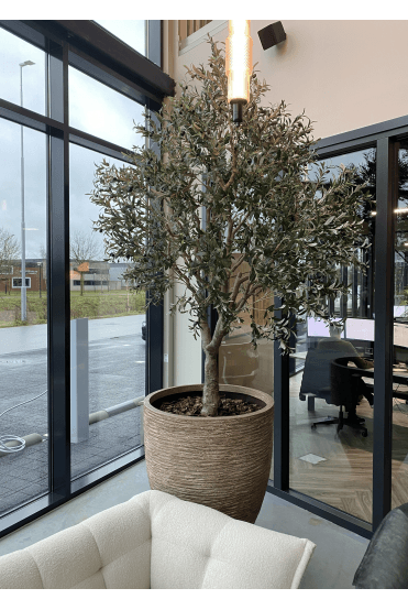 Artificial Olive Tree with Artificial Stem