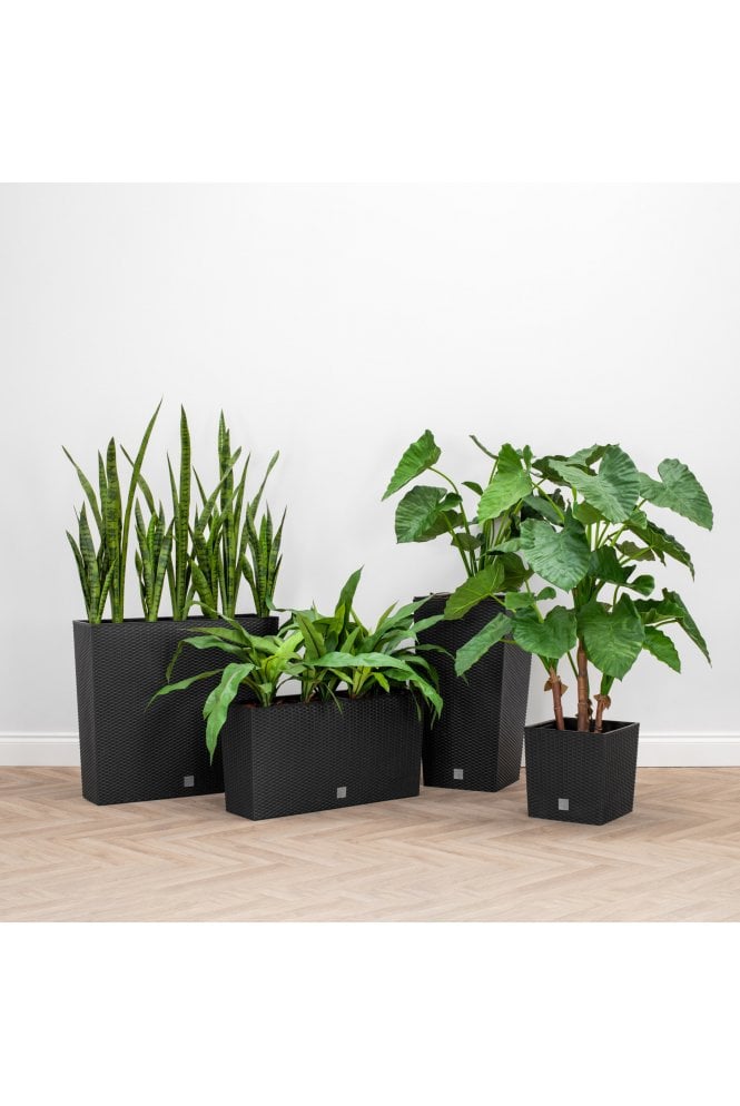 Anthracite Indoor & Outdoor Trough