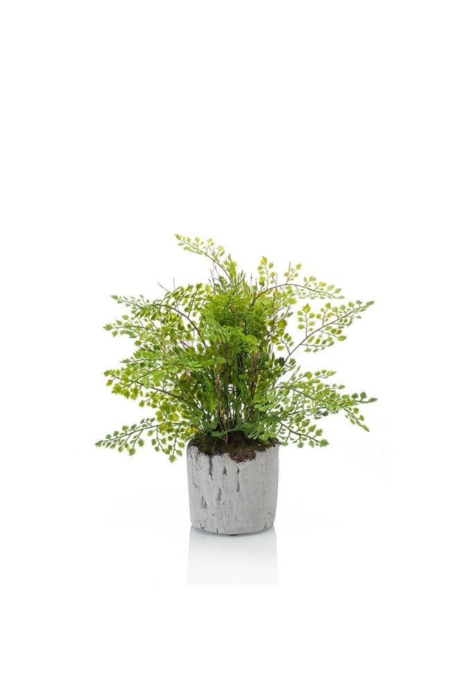 Artificial Fern - Adianthum