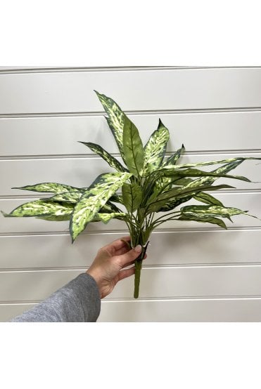 Artificial Aglo Plant IFR