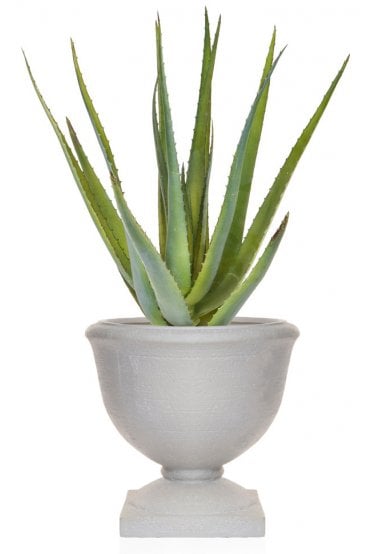 Artificial Aloe in Urn Arrangement