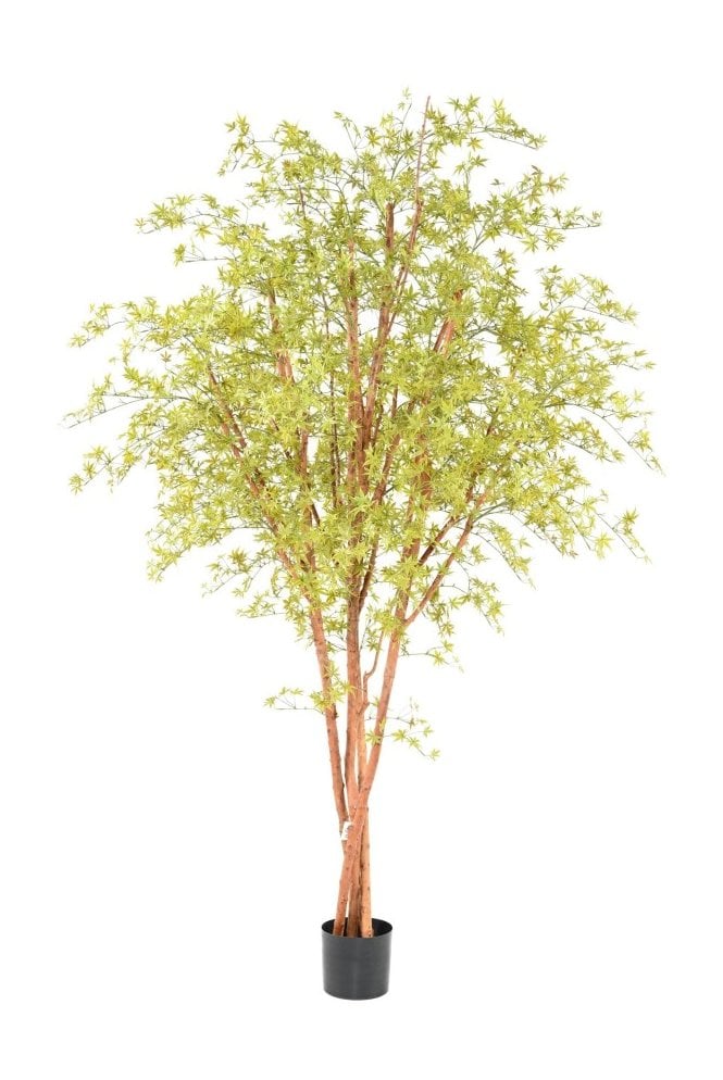 Artificial Aralia Tree 2.8m UV