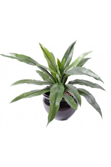 Artificial Asplenium Fern 40cm