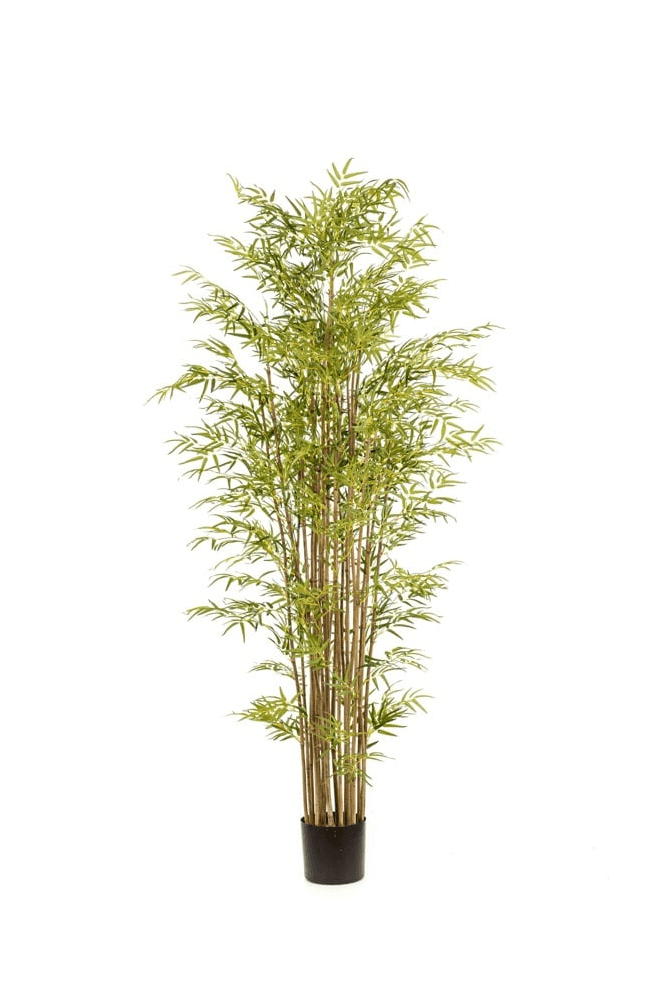 Artificial Bamboo Tree (150cm, 180cm & 210cm)