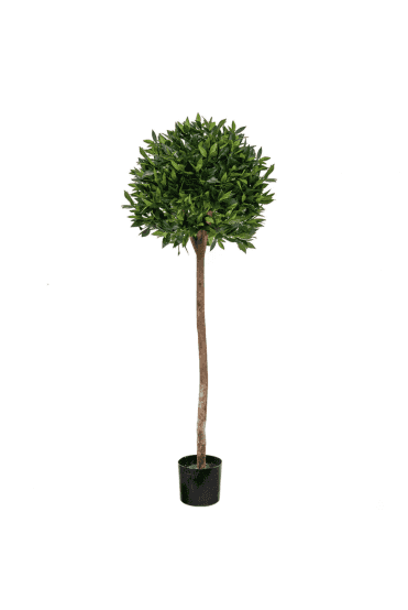Artificial Bay Laurel Ball Tree