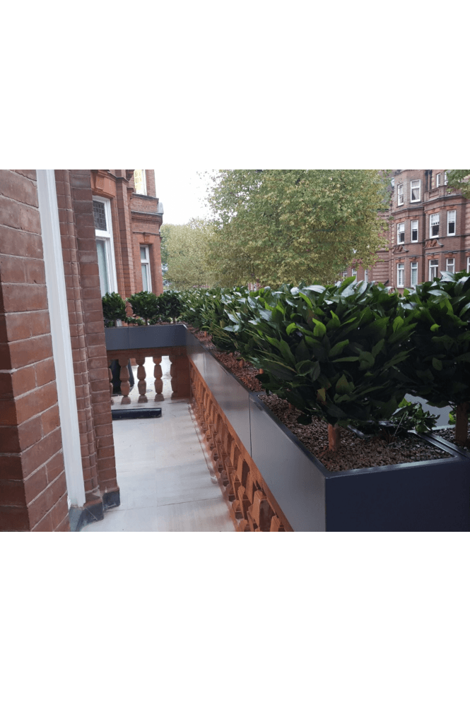 Artificial Trough Fillers For Office & Commercial Space | Replica ...