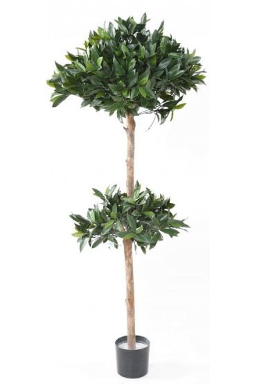 Artificial Bay Tree Double Ball 170cm