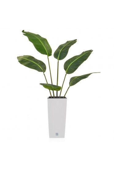 Artificial Bird of Paradise Arrangement - White Base