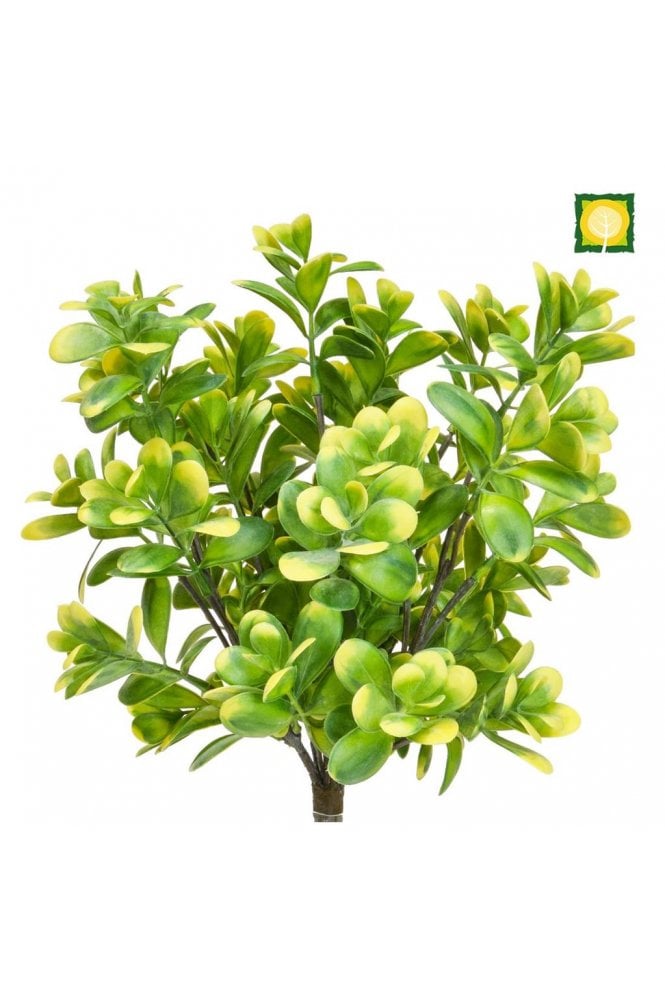 Artificial Boxwood Plant UV 40cm
