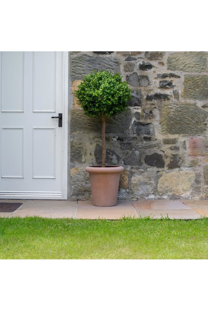 Artificial Buxus Lollipop Tree in Terracotta Base 1.2m