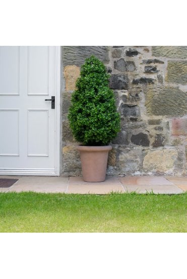 Artificial Buxus Tower 1.3m in Terracotta Base