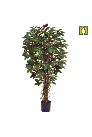 Artificial Capensia Tree - Flame Resistant