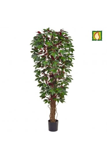 Artificial Capensia Tree - Flame Resistant