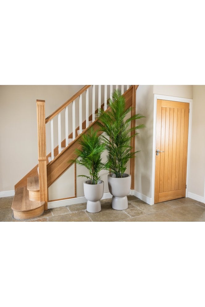 Artificial Chamaedorea Palm 2 Size Options