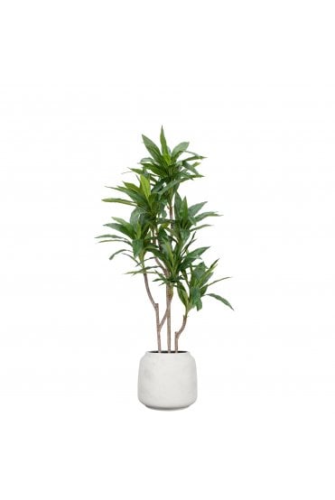 Artificial Cordyline Tree in Cotswold Pot