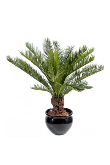 Artificial Cycas Palm (2 Sizes)