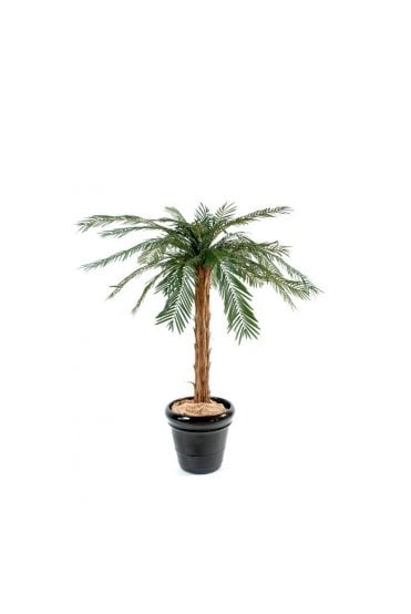 Artificial Cycas Palm Tree Single Trunk