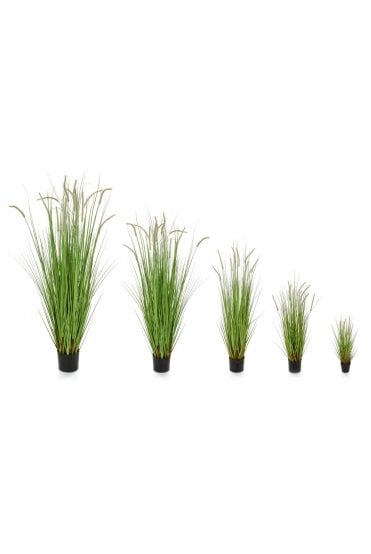 Artificial Dogtail Grass 4 Size Options Flame Retardant