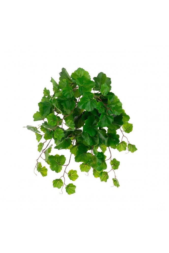 Artificial Aralia Balfouriana Bush 54cm 