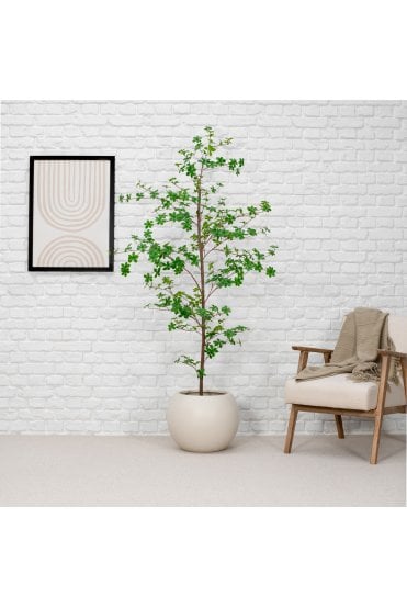 Artificial Enkianthus 180cm Flame Retardant