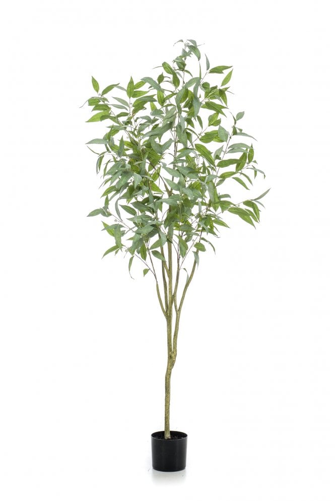 Artificial Eucalyptus Globus Tree 195cm