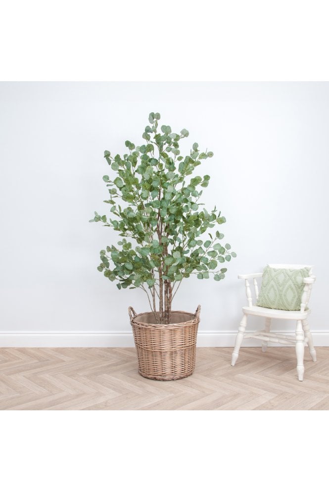 Natural Trunk Artificial Eucalyptus Tree 180cm