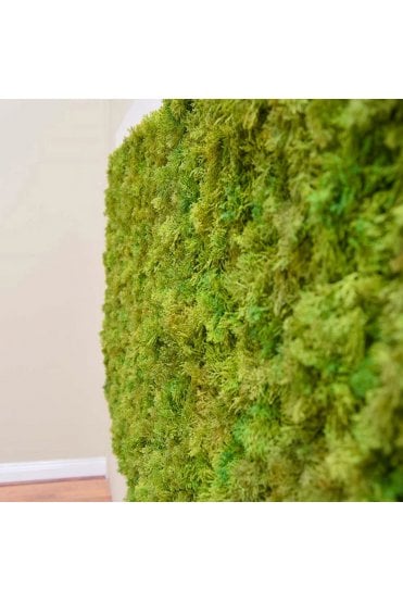 Artificial Exterior Grade UV and IFR Moss Panel