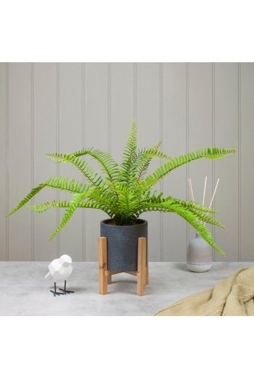 Artificial Fern Display in Footed Base