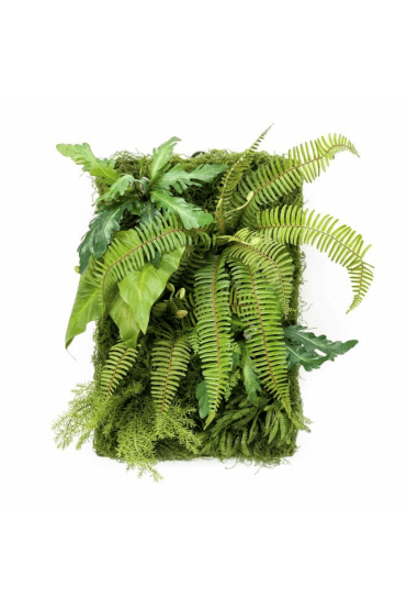 Artificial Living Wall Fern Panel 60cm X 40cm