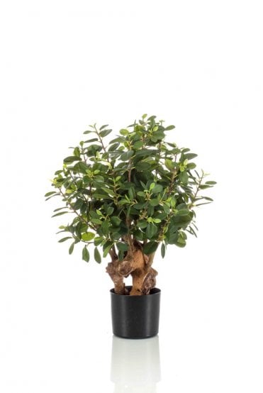 Artificial Ficus Panda Botanic 70cm
