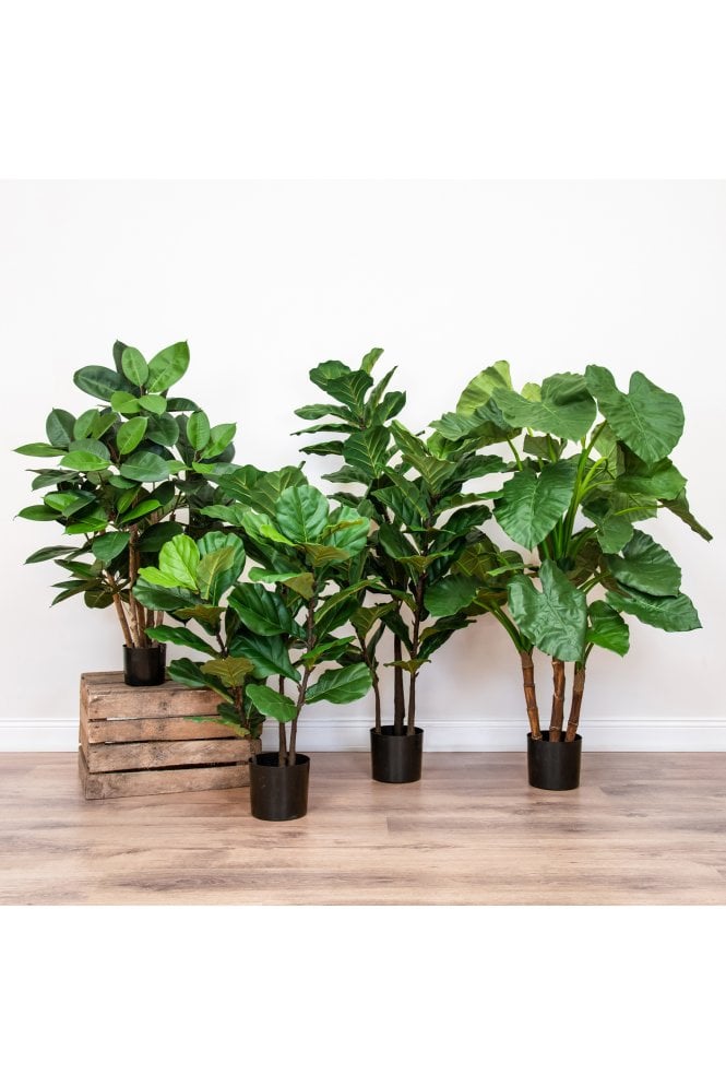 Artificial Ficus Elastica Multi Tree 60cm 