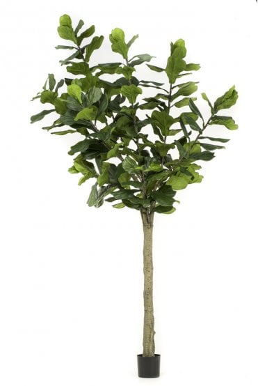 Artificial Fiddle Leaf Tree 300cm
