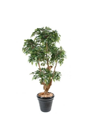 Artificial Ficus Natasja