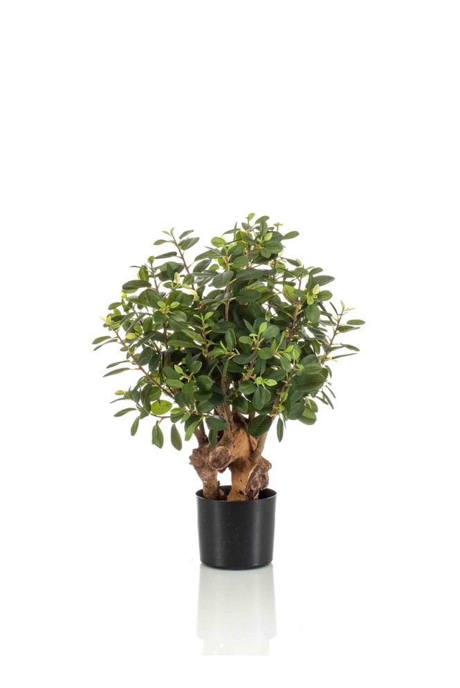 Artificial Ficus Botanic 70cm
