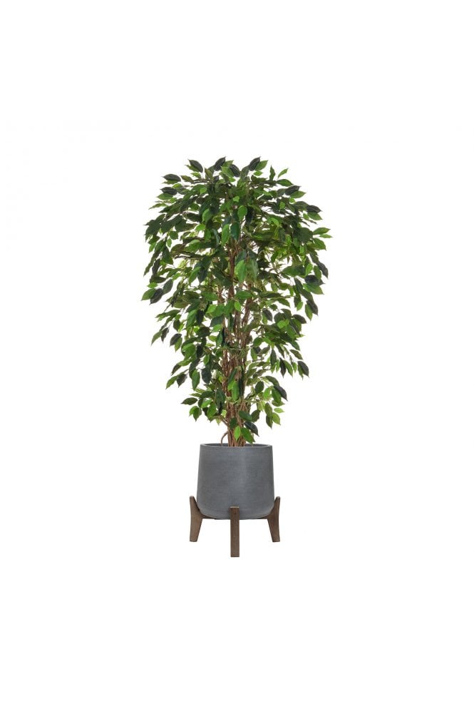 Artificial Ficus Tree Potted in Footed Planter 170cm Flame Retardant