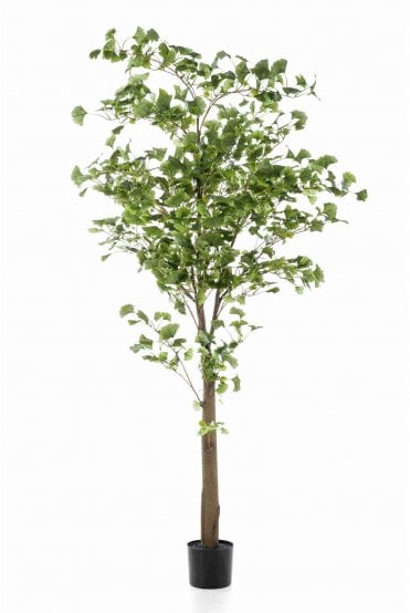 Artificial Gingko 210cm