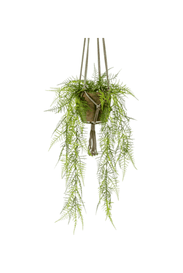 Artificial Trailing Asparagus
