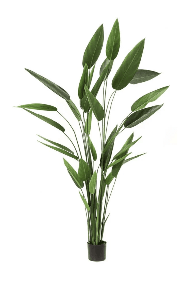 Artificial Heliconia Tree 220cm