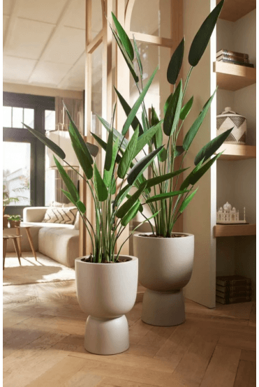Artificial Heliconia 175cm Tall