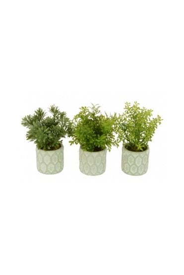 Artificial Herbs in Mosaic Pots - Set of 3