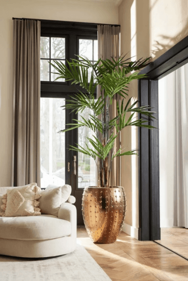 Artificial Kentia Palm 150cm - 270cm