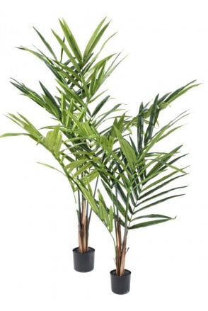 Artificial Kentia Palm Type A