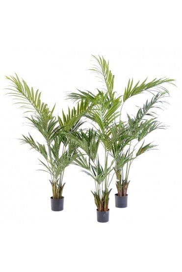 Artificial Kentia Palm Type B