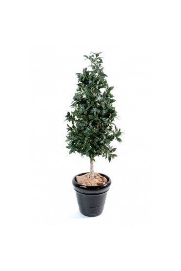 Artificial Bay Laurel Tower