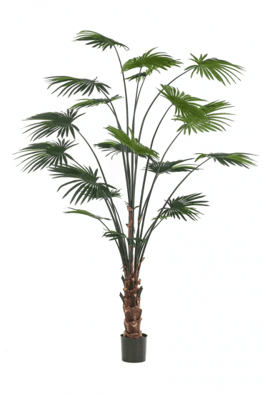 Artificial Livistona 240cm