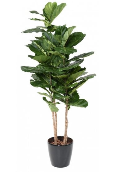 Artificial Lyrata 210cm