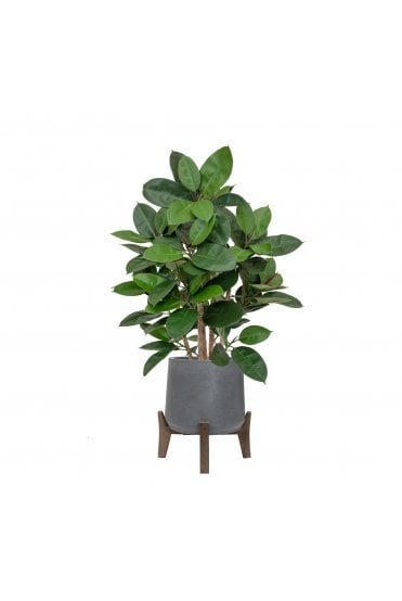 Artificial Mini Ficus Tree in Footed Planter
