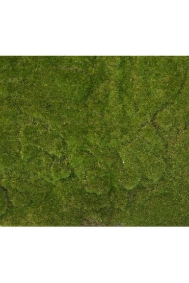 Artificial Moss Plate B