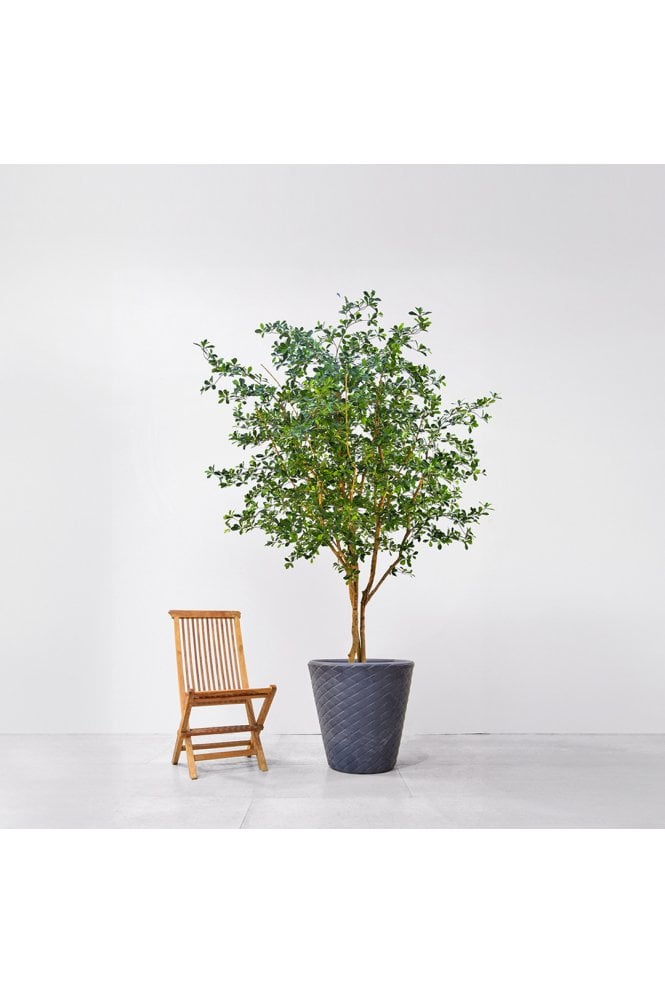Artificial Natural Trunk Olive Oriental Tree 