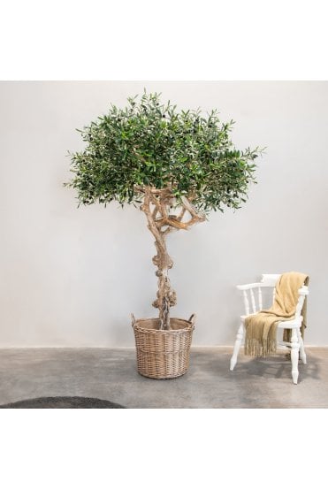 Artificial Olive Tree Coffee Wood Trunk 200cm Flame Retardant